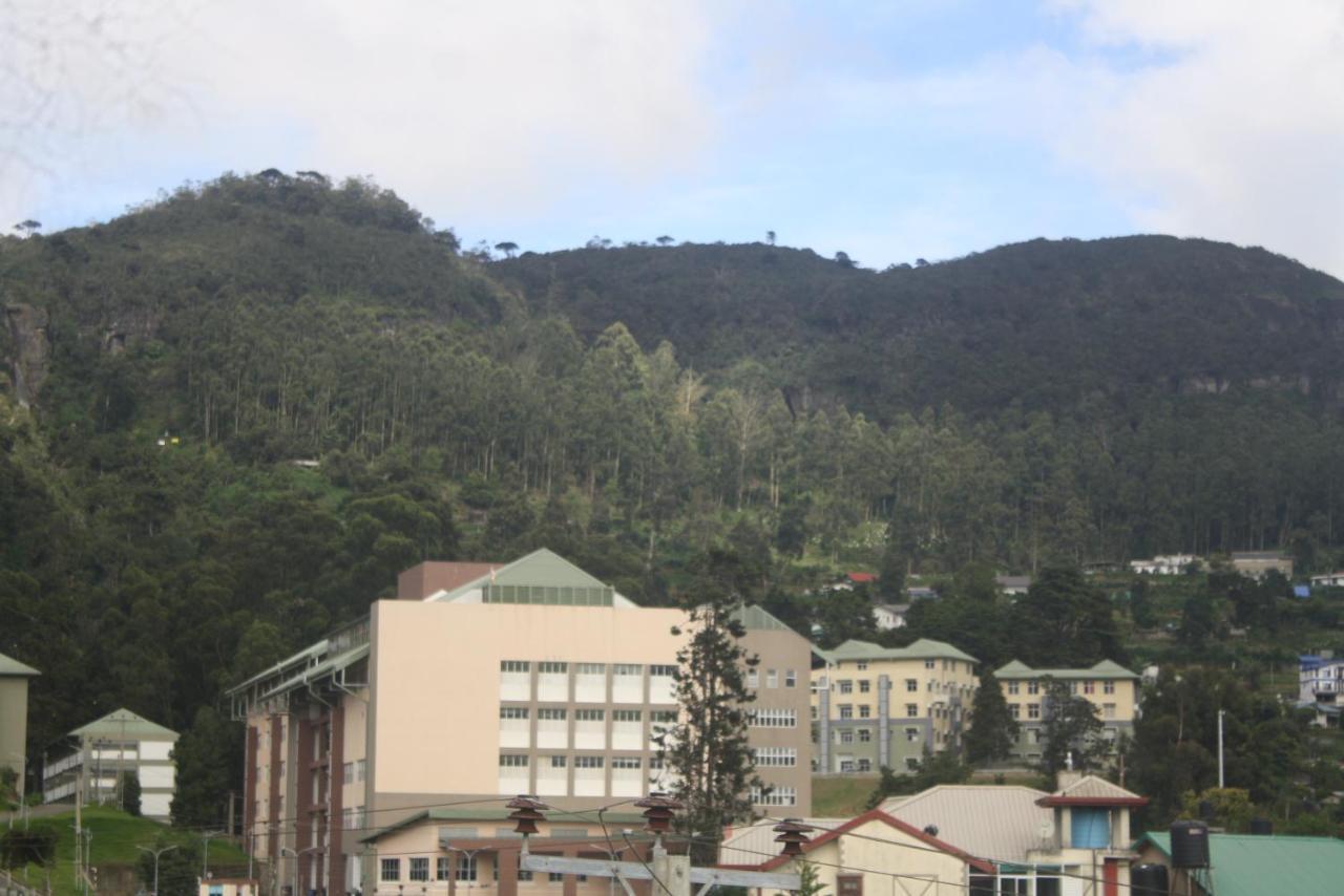 Dream Hill Homestay Нувара-Элия Экстерьер фото